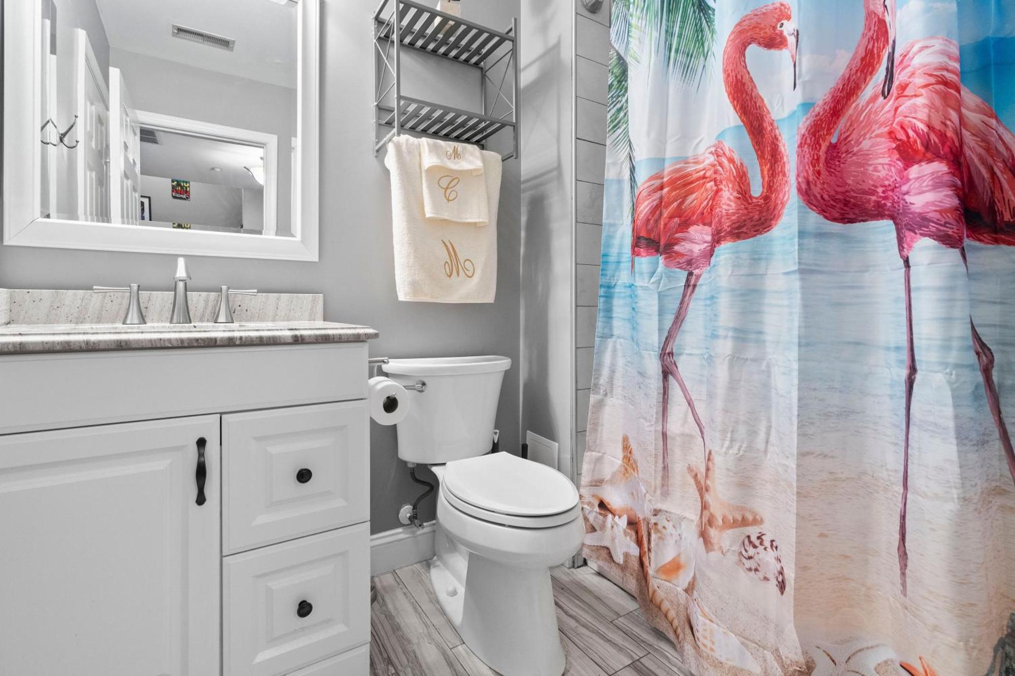 Appartamento New Tropical Island Oasis Baltimora Esterno foto